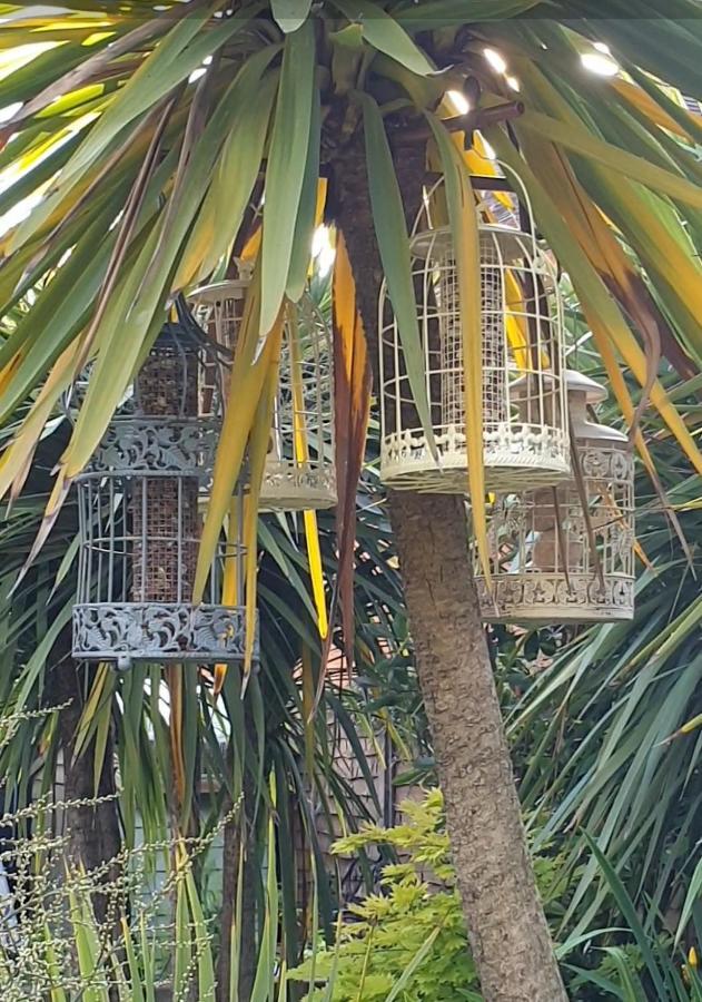 Tropical Garden Oasis Rooms Birmingham Zewnętrze zdjęcie