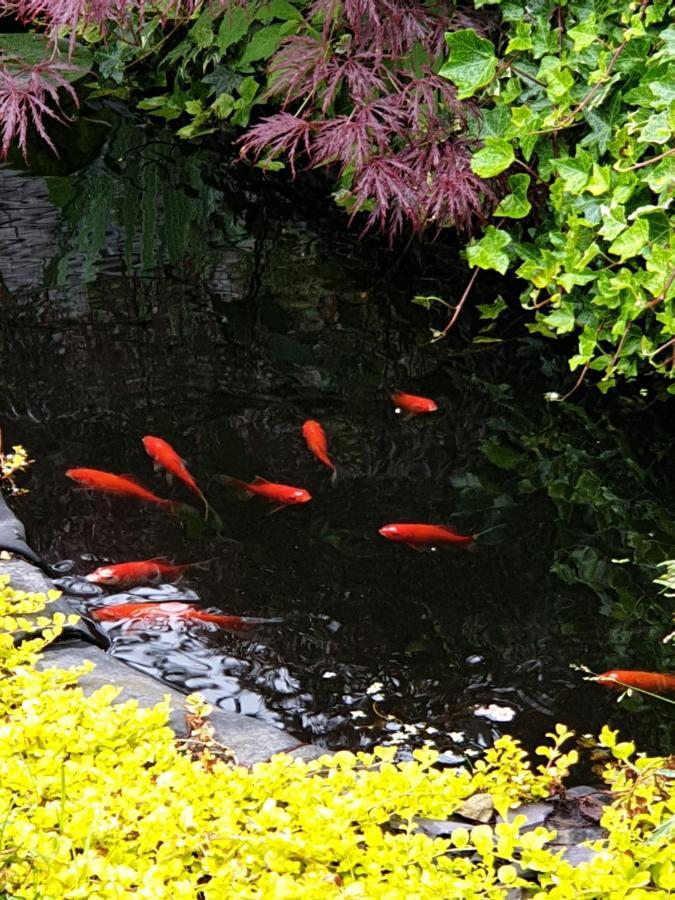 Tropical Garden Oasis Rooms Birmingham Zewnętrze zdjęcie