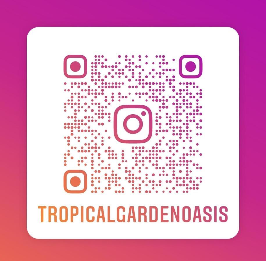 Tropical Garden Oasis Rooms Birmingham Zewnętrze zdjęcie