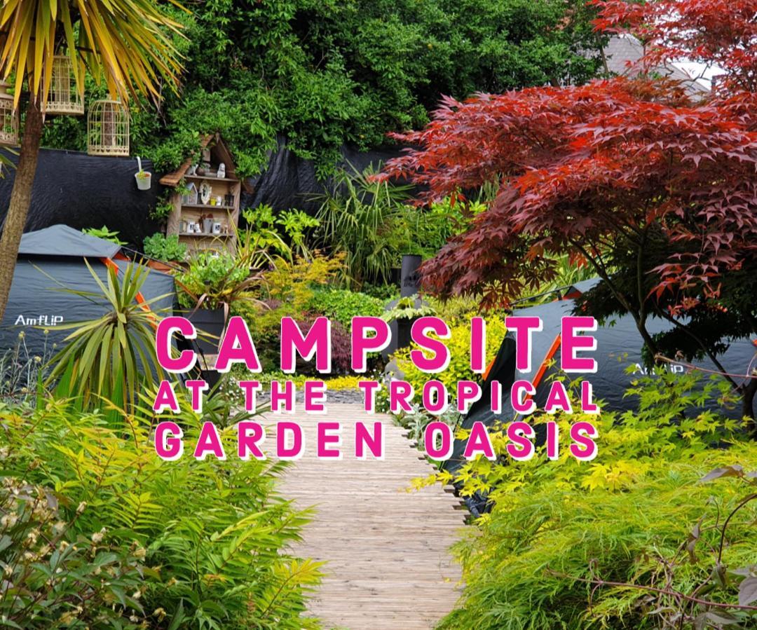 Tropical Garden Oasis Rooms Birmingham Pokój zdjęcie